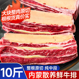 黄膘牛排内蒙古原切牛排骨新鲜带肉牛肋排条生鲜牛仔骨牛肉商用