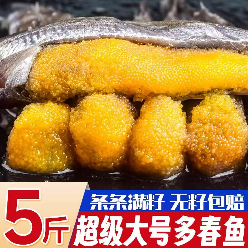 满籽多春鱼烧烤油煎食用