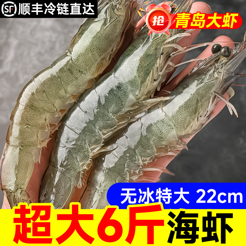 新鲜海捕青岛大虾鲜活速冻