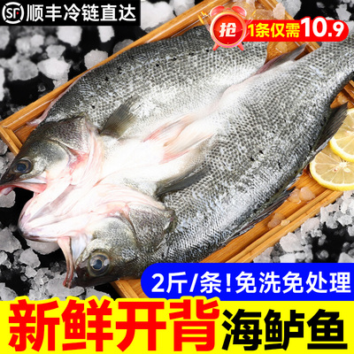新鲜开背海鲈鱼冷冻半成品