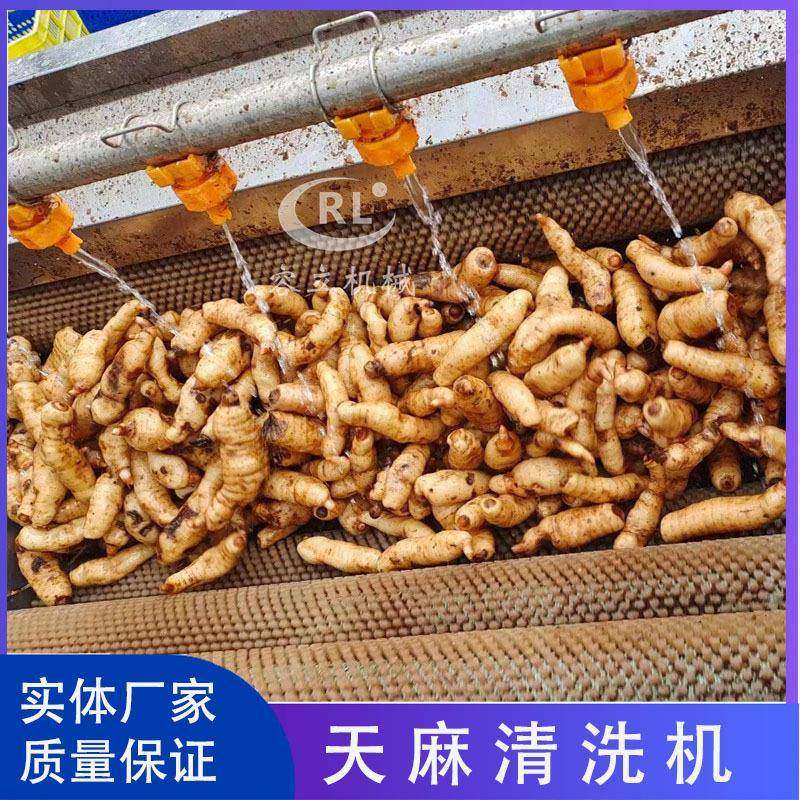 供应洛神花清洗机辊刷式猪苓南姜清洗去泥机商用琵琶果清洗机,清洗/食品/商业设备,果蔬加工设备,淘宝优惠券,粉丝福利购,淘宝优惠卷