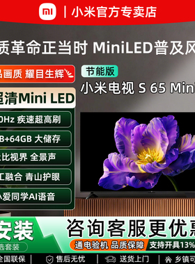 小米S 65英寸MiniLED显示屏4K超清护眼智能WiFi语音蓝牙平板电视