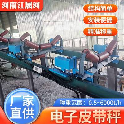 定制电子皮带秤高精度皮带秤ICS电子皮带秤精度高电子皮带秤厂家