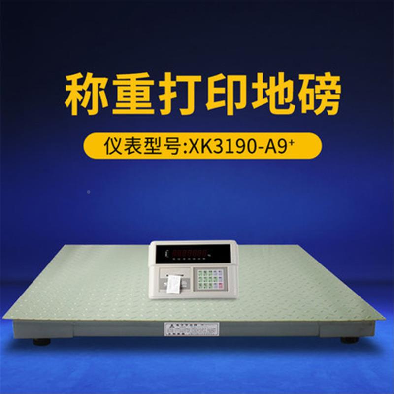 供应~地t地SCSXk19磅高精度电子XK190-A9P小磅票打印电子地磅厂1