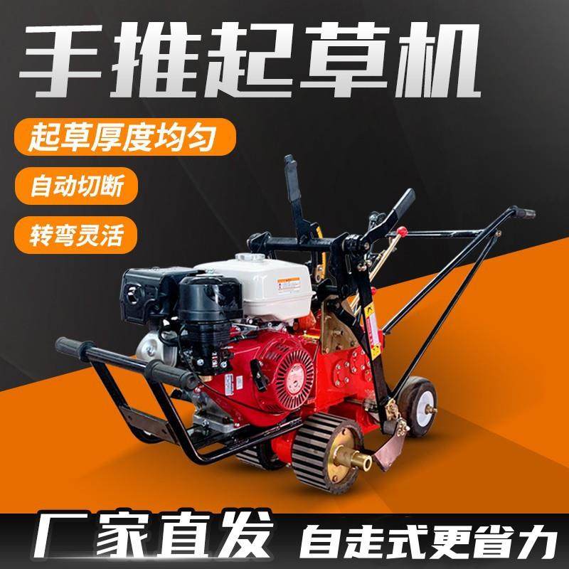 草坪草皮起草机豪华大马力全自动草卷机铲草均匀草皮植草机,鲜花速递/花卉仿真/绿植园艺,铲子,淘宝优惠券,粉丝福利购,淘宝优惠卷