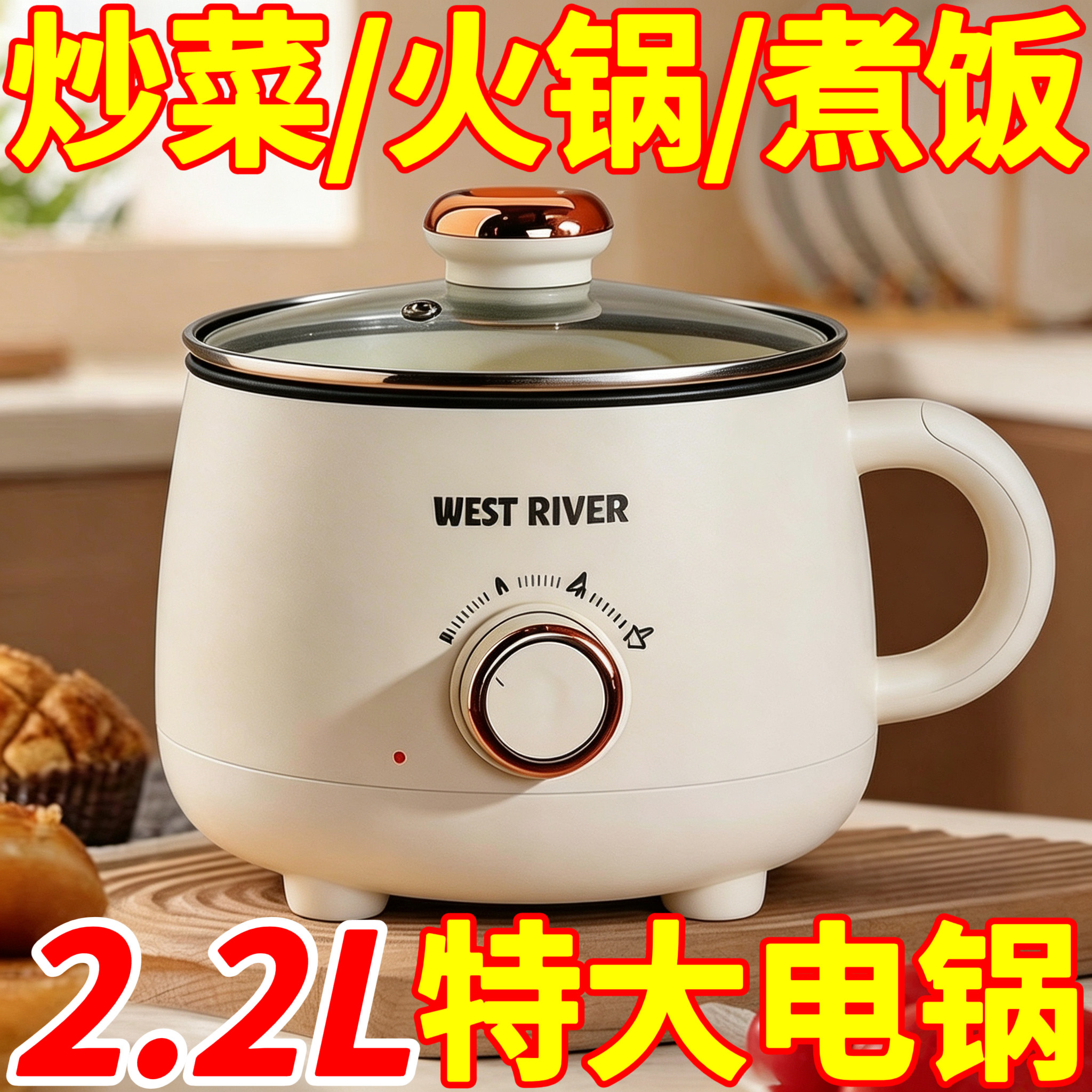 电煮锅宿舍小电锅蒸煮煎炒多功能一体学生电热火锅家用小型不粘锅