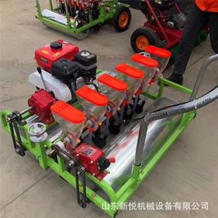 自走式 蔬菜药材精播机 播种机 蔬菜播种机 手推电动汽油款