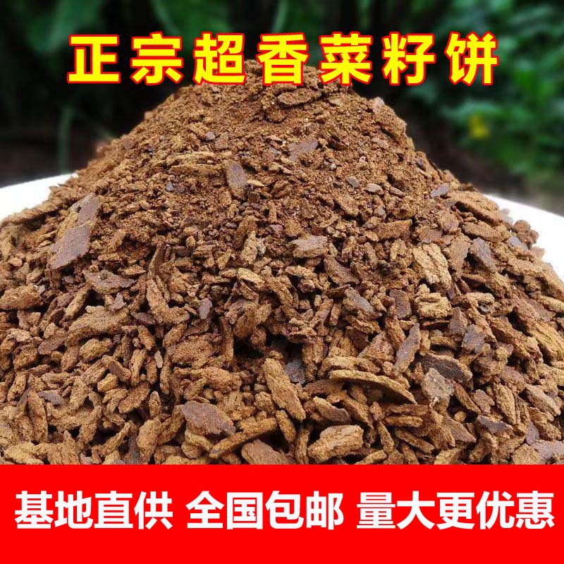 有机菜籽饼钓鱼打窝肥