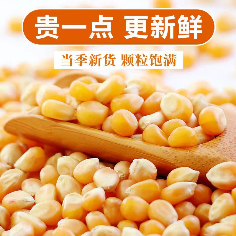 东北农家玉米粒球形电影院专用爆米花自家用蝶形食用