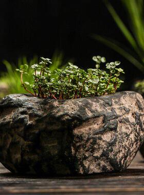 尔立中国风仿复古祥云瓦花盆器当菖蒲米竹异形艺术烟灰缸禅意造景