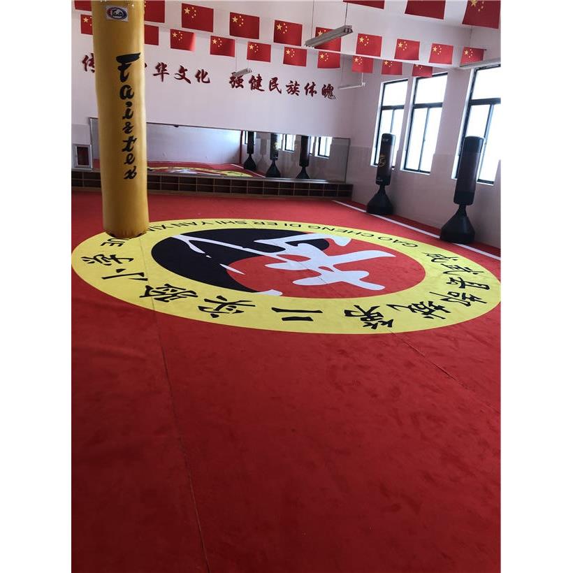 武术跆拳道训练比赛运动地毯 不掉毛掉色 定制尺寸颜色图案LOGO