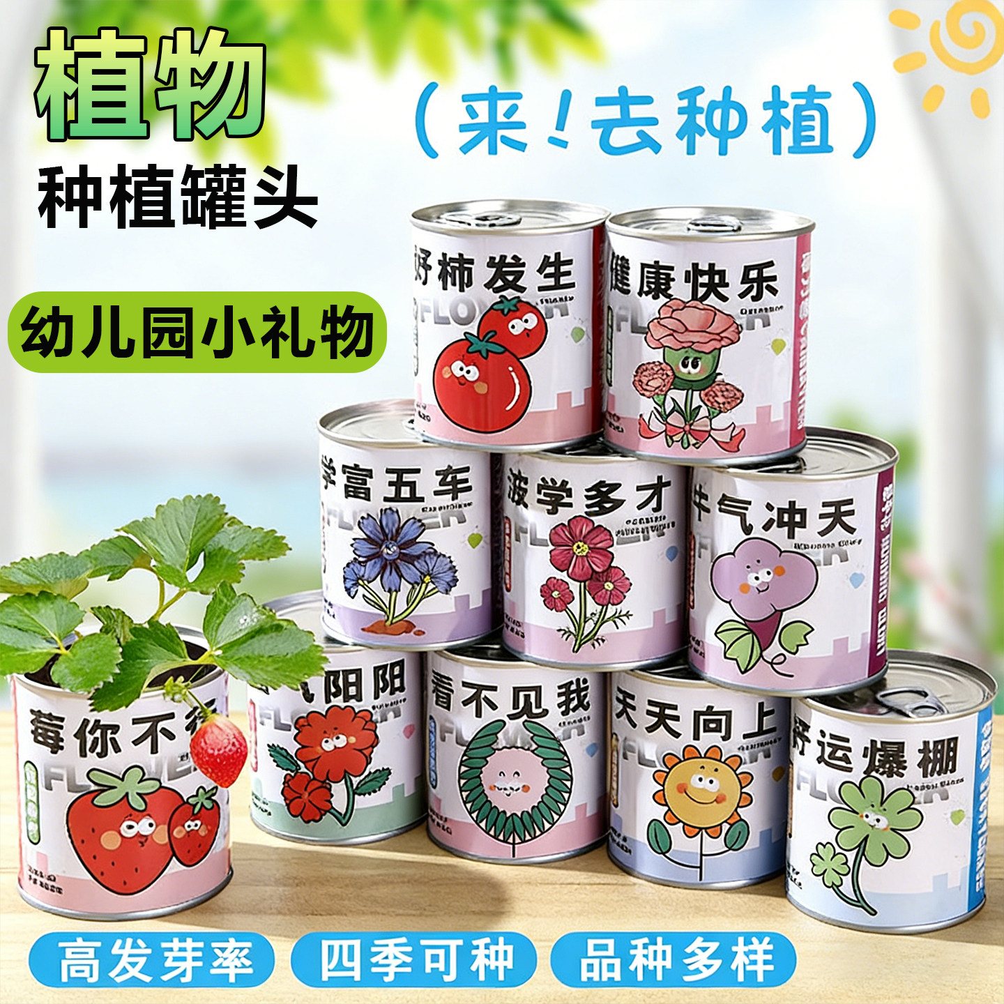 桌面摆件盲盒绿植新手易养