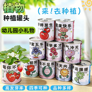 绿植小盆栽桌面摆件植物盲盒儿童情绪稳定种植罐头植树节小礼品