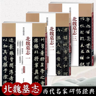碑帖超高清原帖8开本魏碑体字帖元 3册 倪元 桢李璧穆亮张黑女元 纂墓志铭精品书法毛笔集字临摹书籍 北魏墓志全集 遥司马显姿元 套装