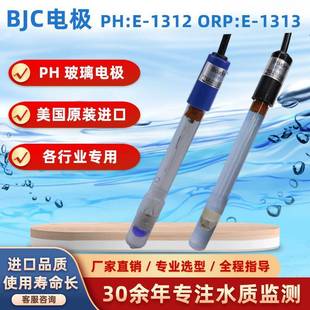 1312HOTEC合泰PH101配套用PH探头E BJC工业用酸碱度PH电极E 1313