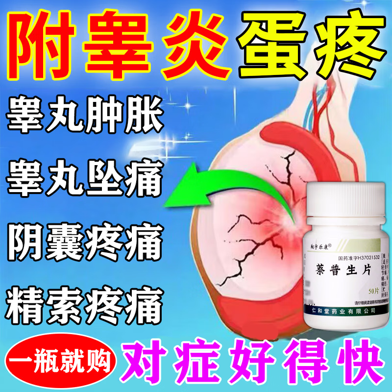 附睾炎硬结消炎用药精索静脉曲张囊肿睾丸炎疼痛急慢性附睾炎肿大
