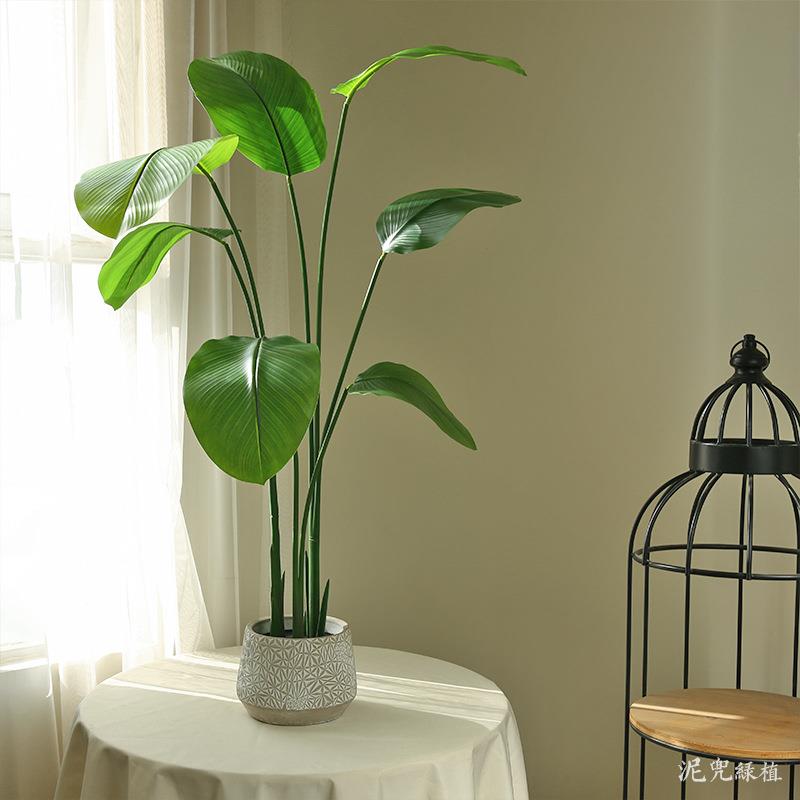 仿真绿植胶布旅人蕉现代简约热带植物天堂鸟室内家居摆件陈设绿植