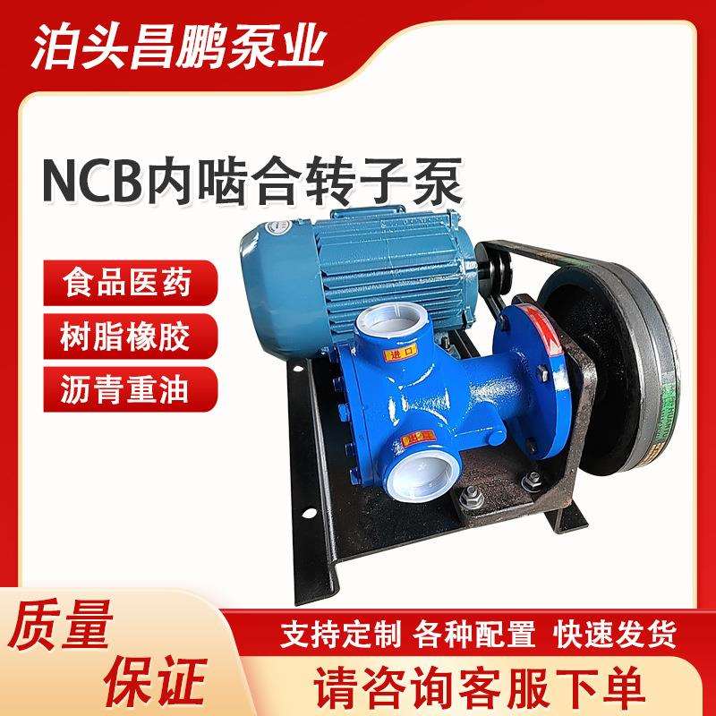 NCB1.2转子泵树脂沥青米浆高粘度小型齿轮泵铸铁内啮合电动抽油泵