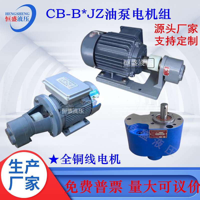 齿轮抽油泵电机总成CB-B4JZ 10 32 63 80 125JZ润滑泵电机组装置