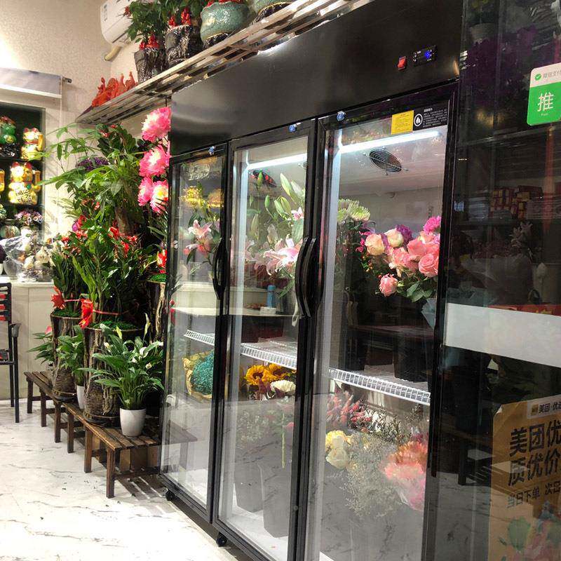 花柜保无品牌/鲜柜冷藏玻展示冰鲜箱花店花艺风冷单双三门璃商门