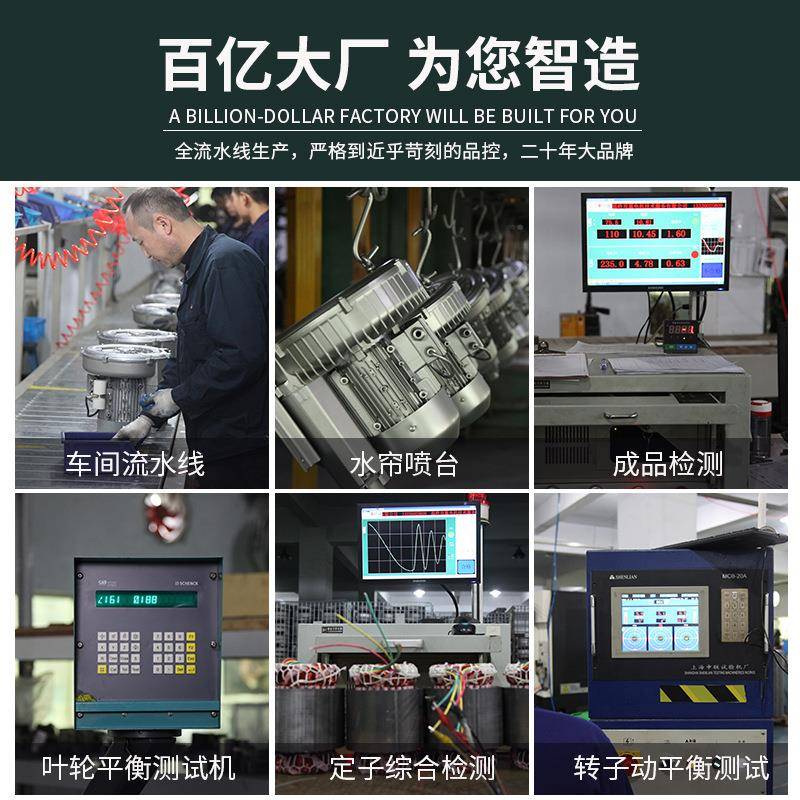 高气压风机漩鼓风机大功率工业水处理曝吸尘涡气污泵电机G810