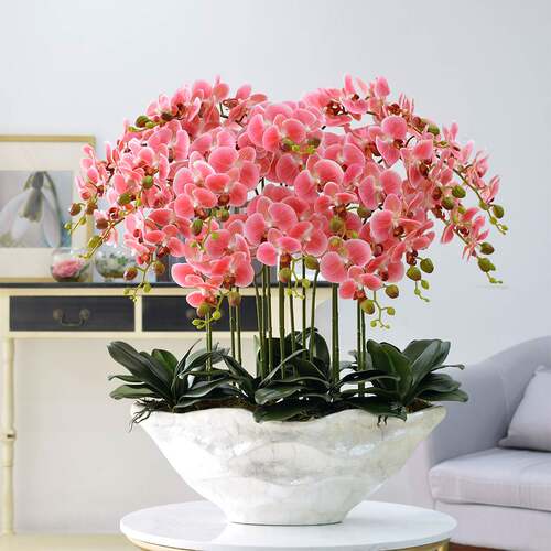 型蝴蝶兰花套装假花盆栽塑料花酒店大堂客厅玄关装赵之孙