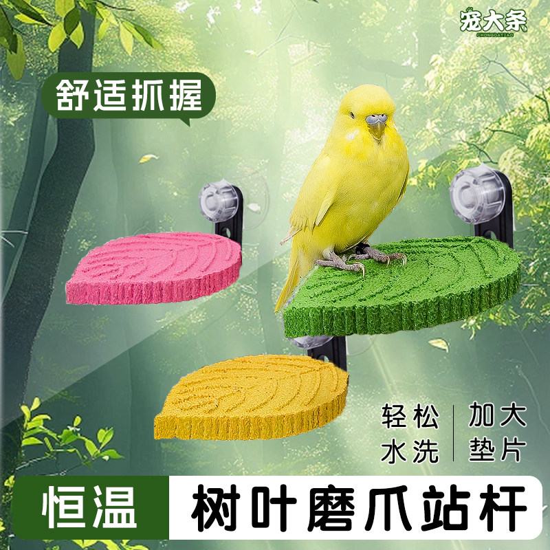宠大条鹦鹉磨砂站杆鸟笼专用