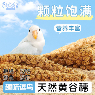 寵大條鸚鵡零食棒谷穗鳥糧虎皮玄鳳牡丹訓(xùn)練獎勵麥穗谷子小零食