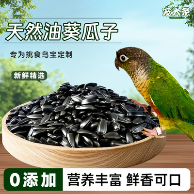 【宠大条】鹦鹉鸟粮油葵瓜子鸟饲料奖励零食玄凤虎皮鹦鹉专用鸟食