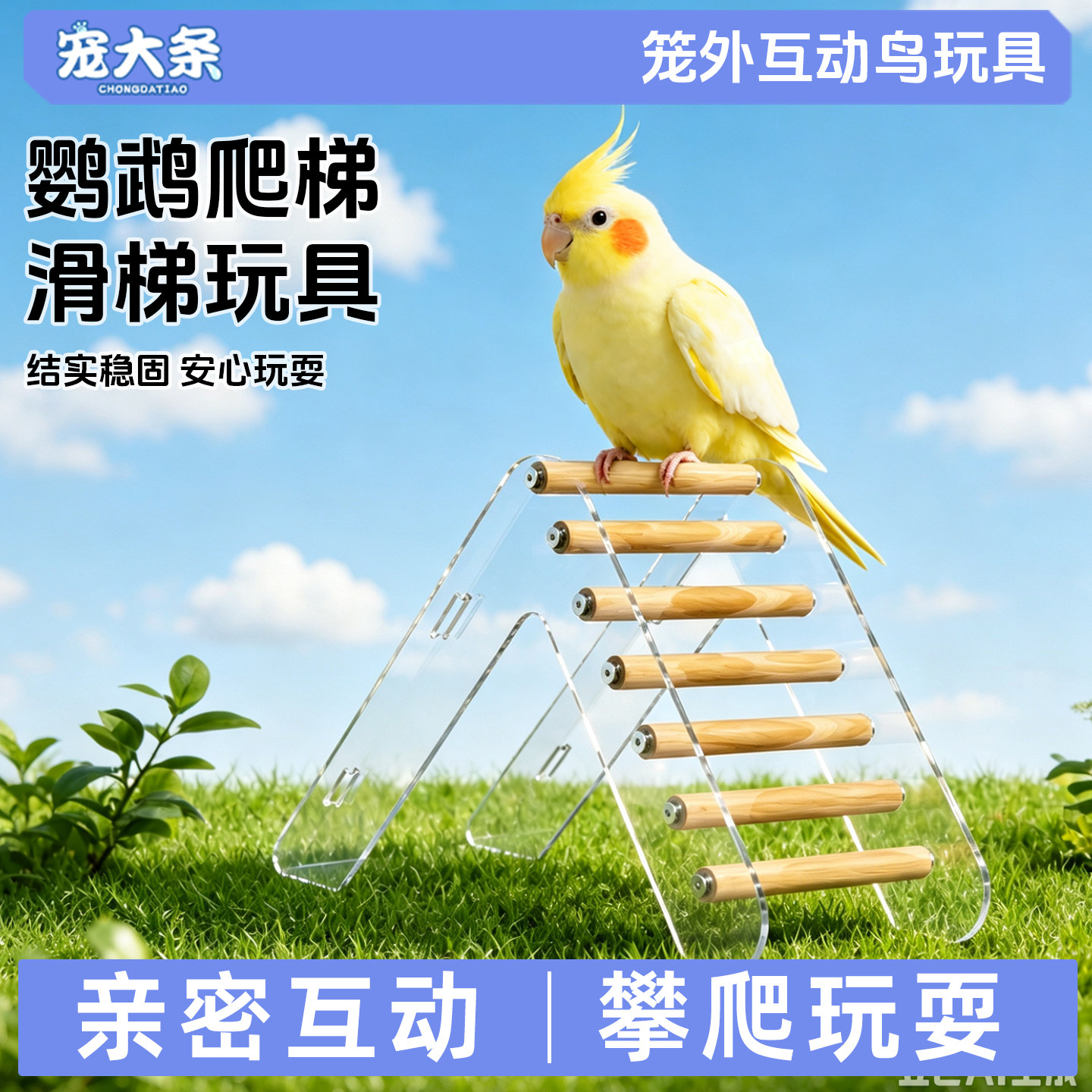 宠大条鹦鹉攀爬站杆鸟玩具玄凤牡丹小太阳虎皮爬梯滑梯磨爪磨喙