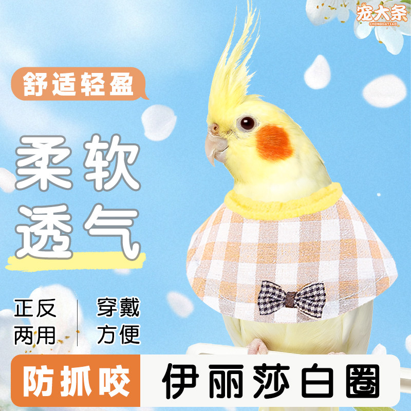 【宠大条】鹦鹉伊丽莎白圈鸟用保护项圈牡丹玄凤防啃咬防啄毛头套,宠物/宠物食品及用品,鸟禽服饰,淘宝优惠券,粉丝福利购,淘宝优惠卷