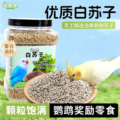 特级白苏子鸟粮牡丹鹦鹉饲料鸟粮