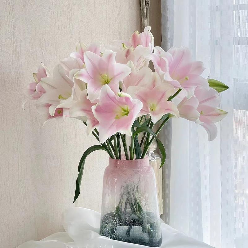 铁炮百合鲜花家用水养鲜切花瓶插花云南基地直发白铁炮花束