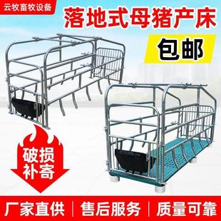落地式母猪产床带漏粪板简易单体产床母猪围栏产床猪用落地式产床