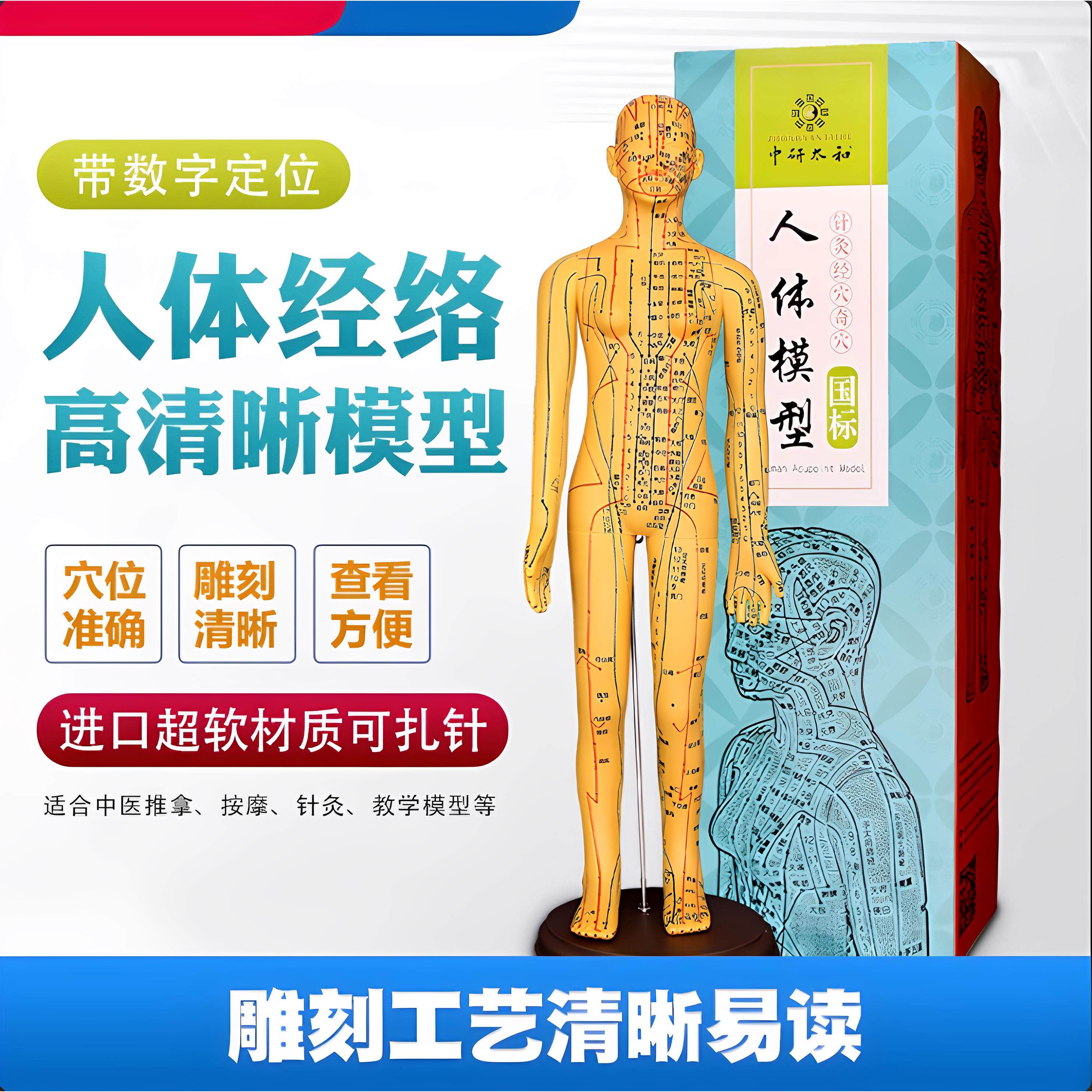 国风经络教学摆件 可活动肉粉色针灸人偶 中医针灸穴位教学模型