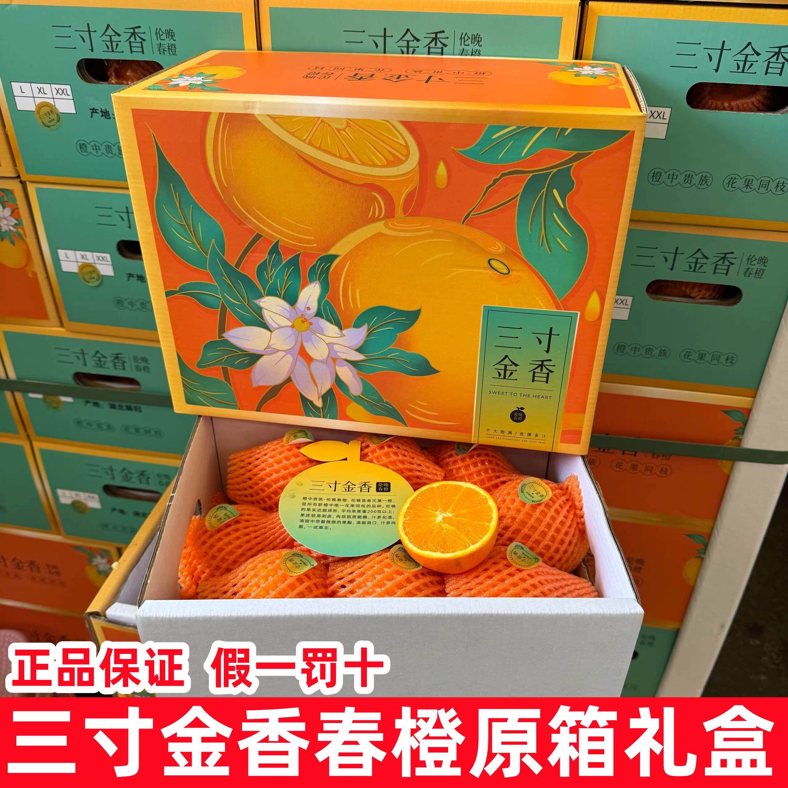 三寸金香伦晚春橙当季新鲜高端水果橙子礼盒装香甜黄橙子秭归脐橙