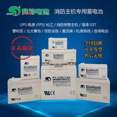 海湾泰和安消防报警主机电池壁挂主机应急照明电源备用赛特12V7AH
