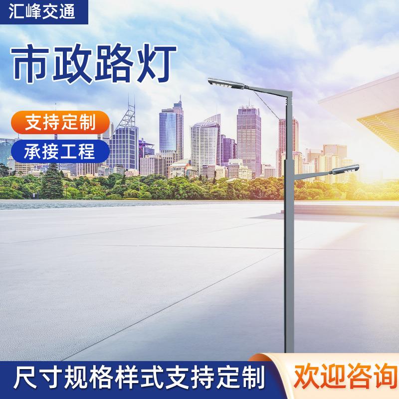 LED市电路灯市政道路双臂双头路灯8米10米12米城市照明路灯杆