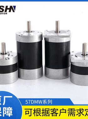 57mm50W100W150W12V24V48V220V低噪音直流无刷电机57DMW