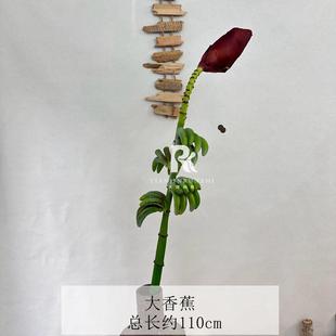 饰摆放道具假花 仿真水果禁止蕉绿香蕉拒绝焦虑办公室桌面家居装
