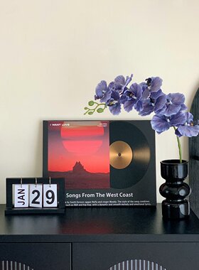 创意黑胶唱片摆设蝴蝶兰仿真花