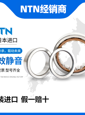 NSK日本原装进口圆柱滚子轴承NUP2313 NUP2315 NUP2316 NUP2317