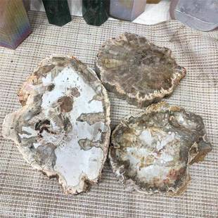 家厂天然原石木化石切片生化石家居物YYW办摆公件水晶工艺品