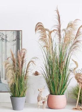 仿室真植物盆栽芦苇隔断内门店窗落地装饰仿生绿79160植草墙景观