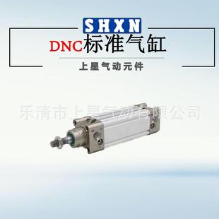FXCYesto型 502 PPA 气N 100X100 DNC气缸费斯型标准缸D托C40