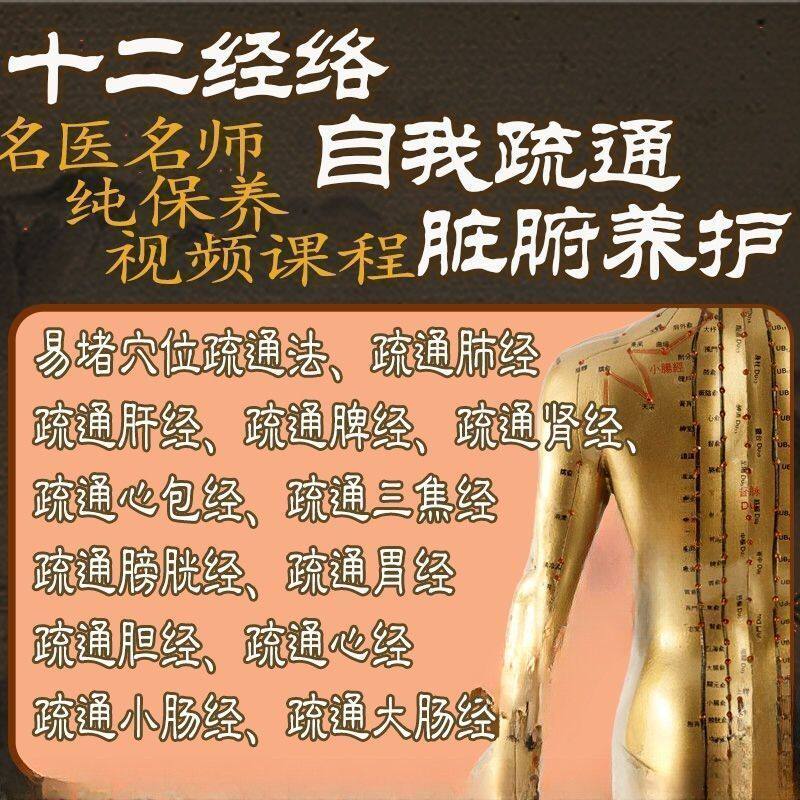 中医十二经络易堵点自我疏通手法课程视频教学脏腑排毒胃痛素材