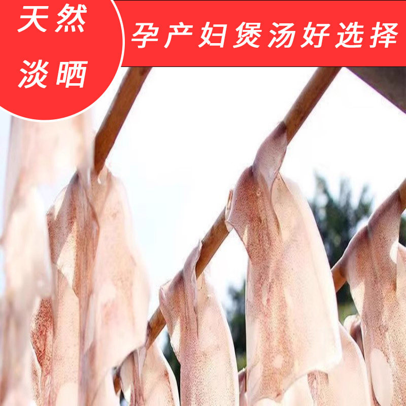 海石兄弟福建本港大卵籽鱿鱼母
