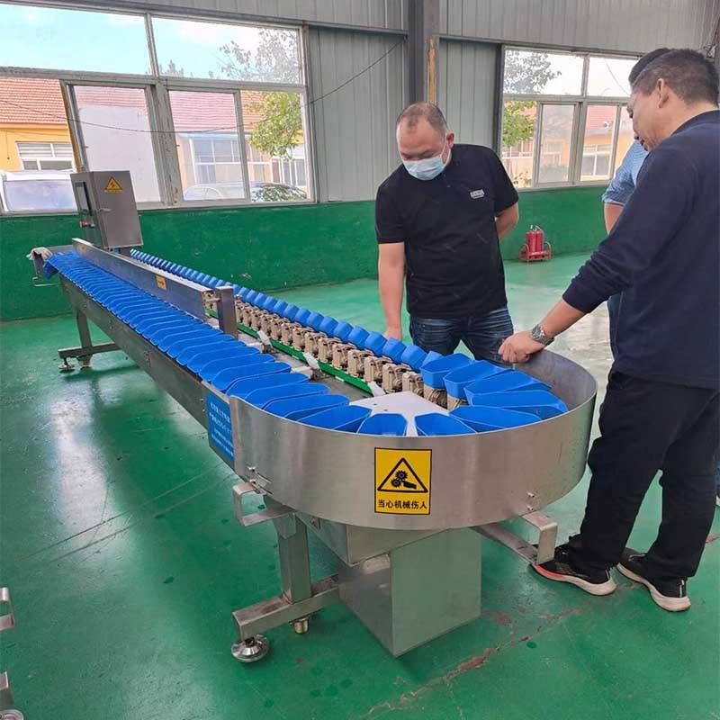 电海蛎子海参干货多级重量分PRV拣机克数调脑全自动称可重分选机