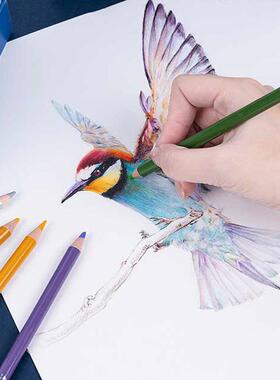 ACP-001-Arrt阿绘泰诗48/72/1x26色油彩铅美术画画专用彩铅笔手绘