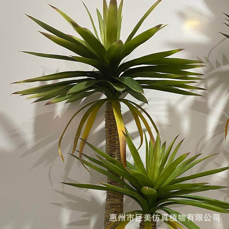 植真荷兰铁绿物树高杆观叶盆栽摆仿盆SCC景客件厅商场橱窗造景室